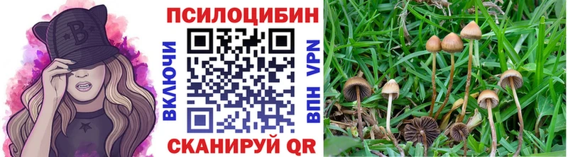 Псилоцибиновые грибы ЛСД  ссылка на мегу зеркало  Рубцовск 